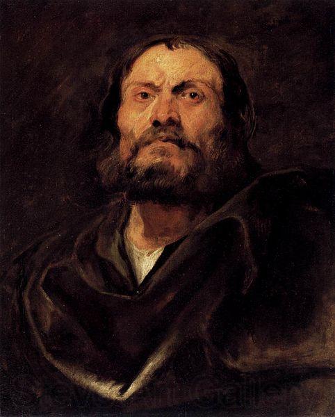 Anthony Van Dyck An Apostle Norge oil painting art